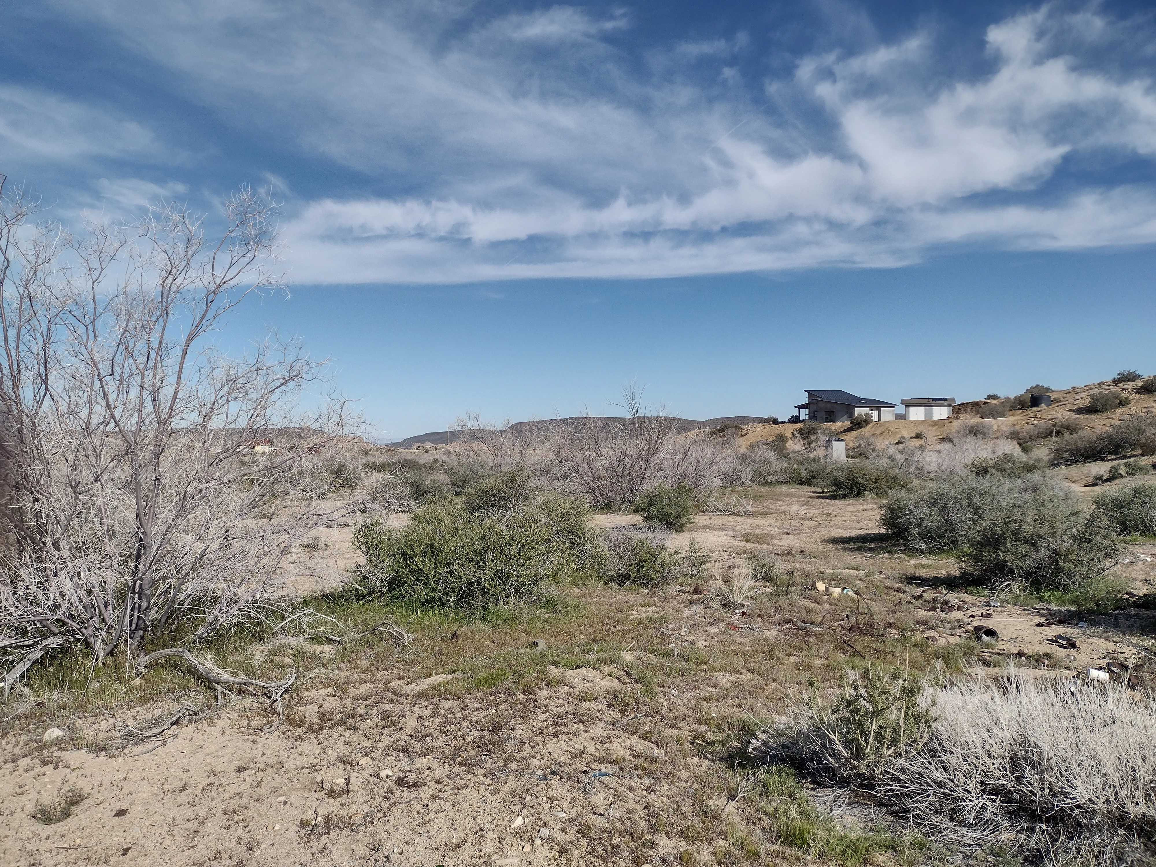 DESERT DREAM at an Unbeatable Price! Rimrock, CA Land