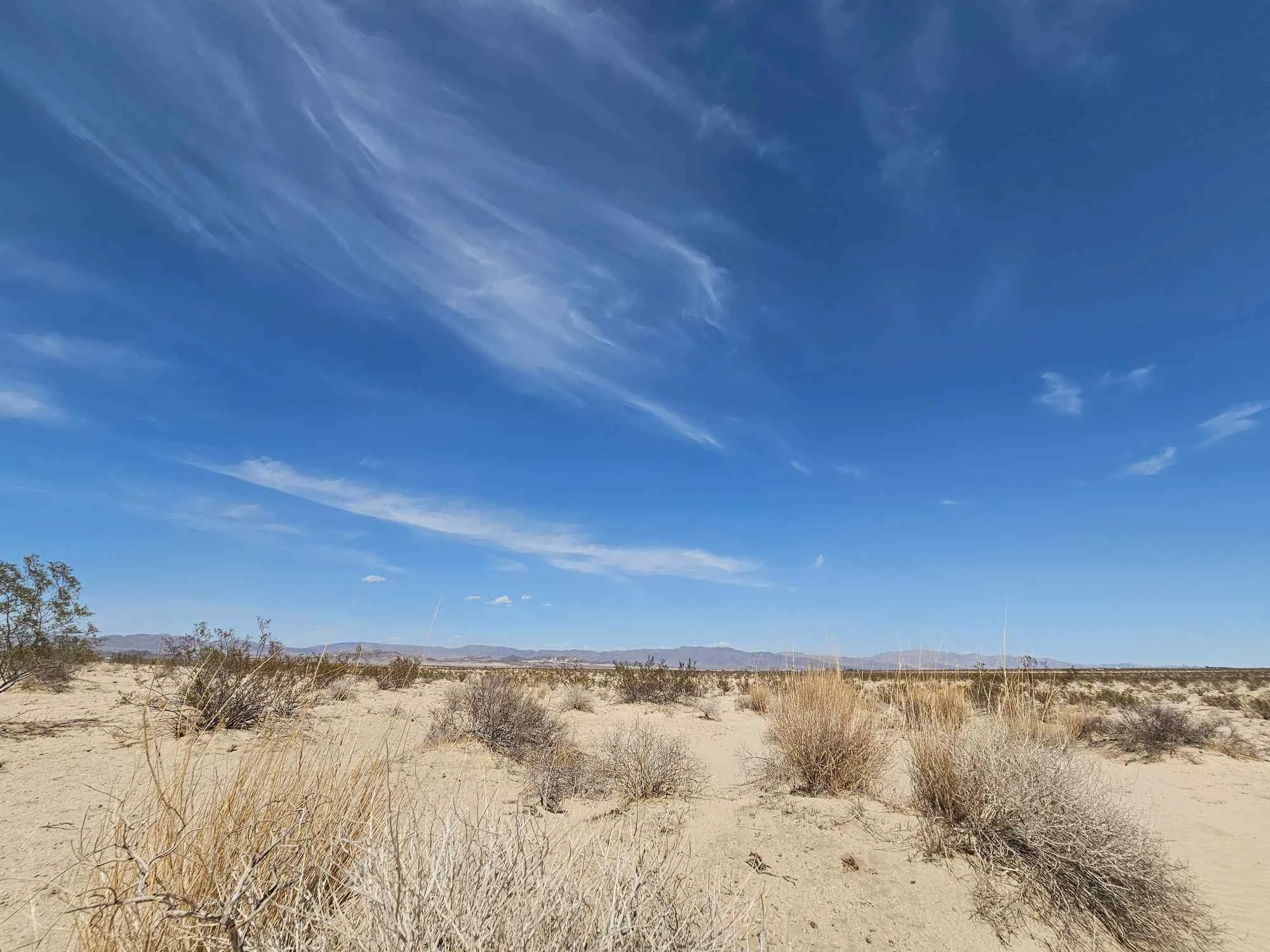 UNBELIEVABLE STEAL: 1.25 Acres of Pure California Bliss in Twentynine Palms – Don’t Miss Out!